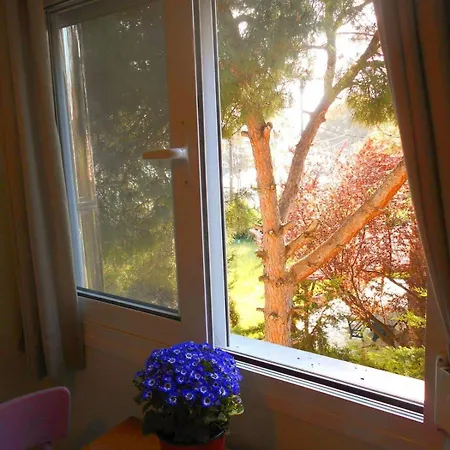 Apartment Balcony At The