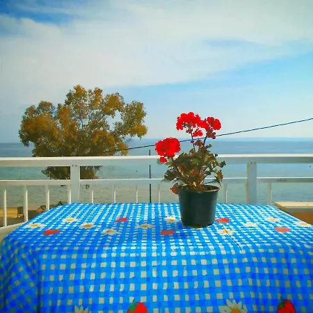 Apartment Balcony At The *