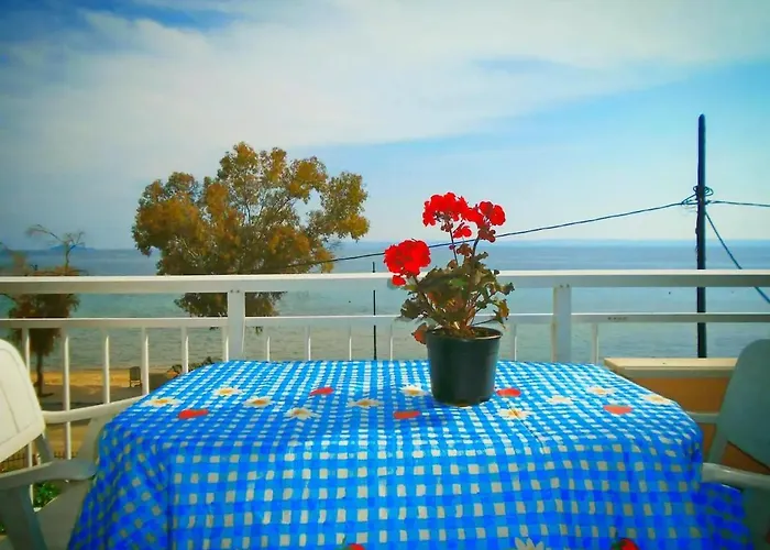 Apartament Balcony At The *