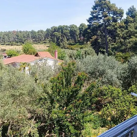Balcony At The Lejlighed